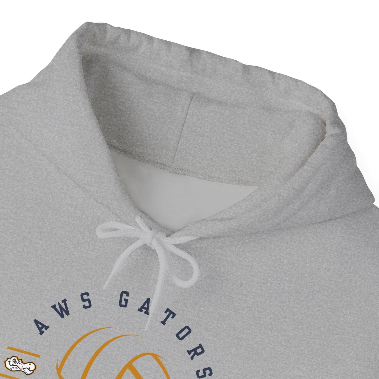 AWS Volleyball Legend | Soft Hoodie