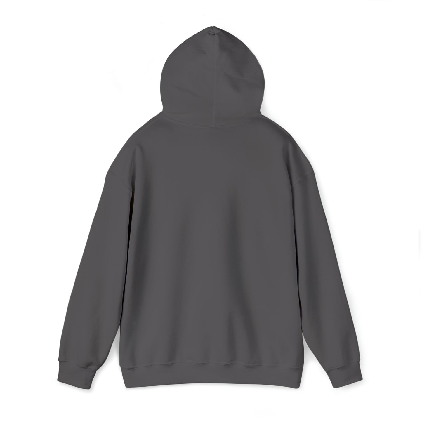 This Is My Campfire Hoodie | Premium Soft Pullover Hoodie