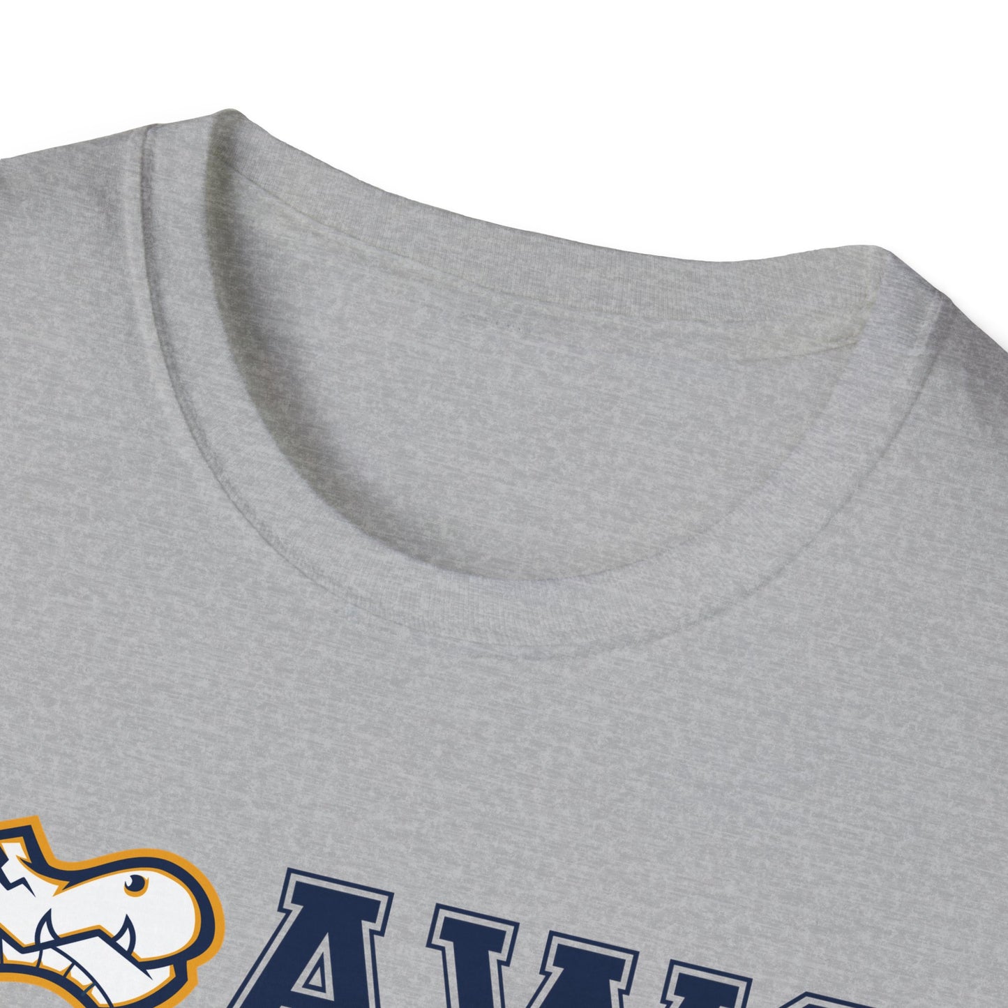 AWS Cross Country | Softstyle T-Shirt