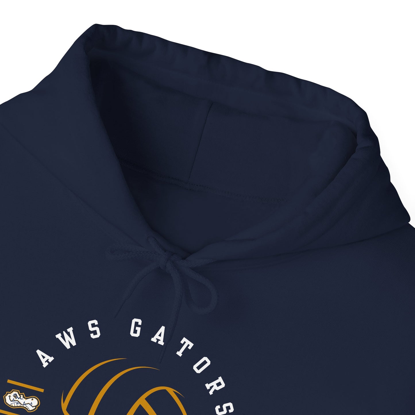 AWS Volleyball Legend | Soft Hoodie