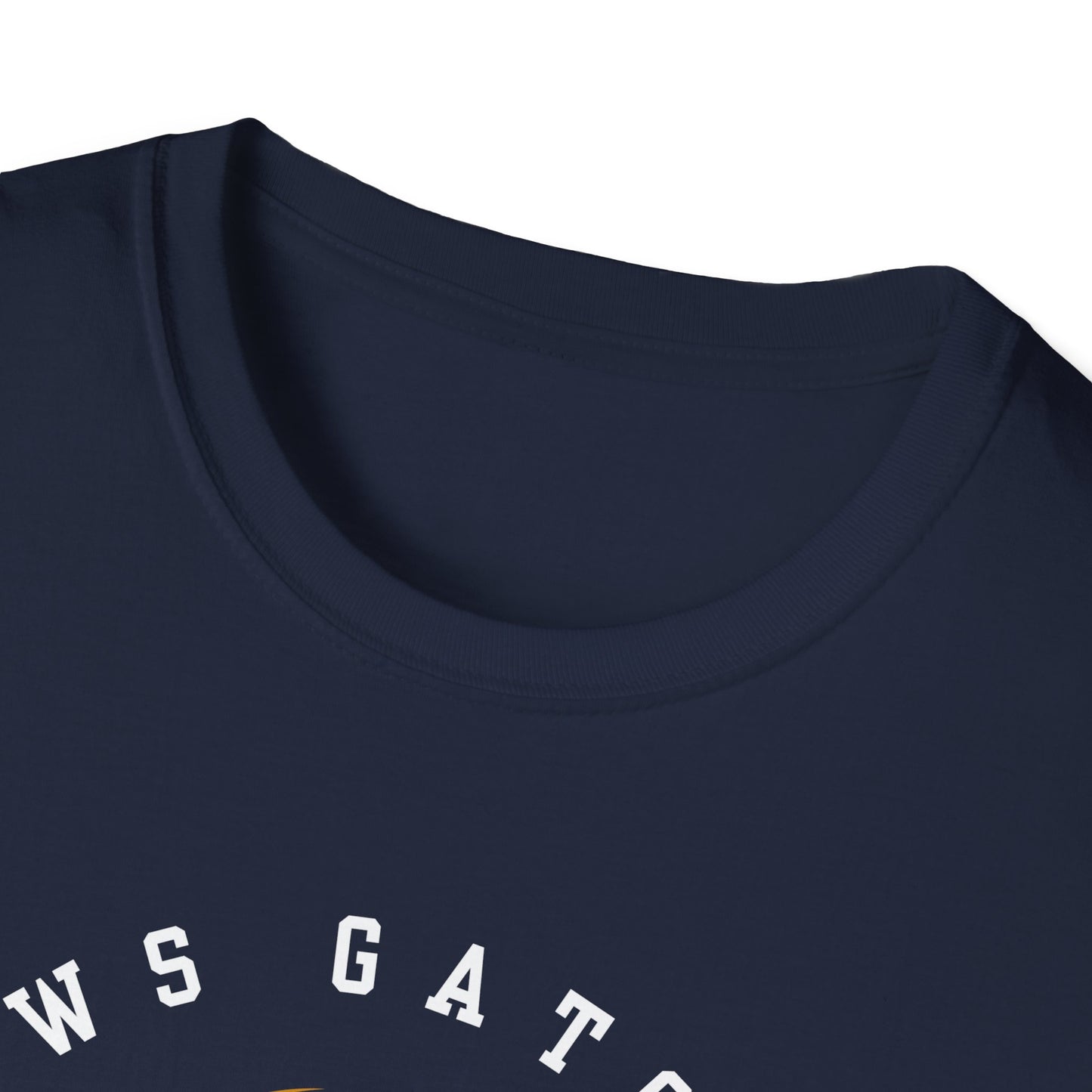 AWS Volleyball Legend | Softstyle T-Shirt