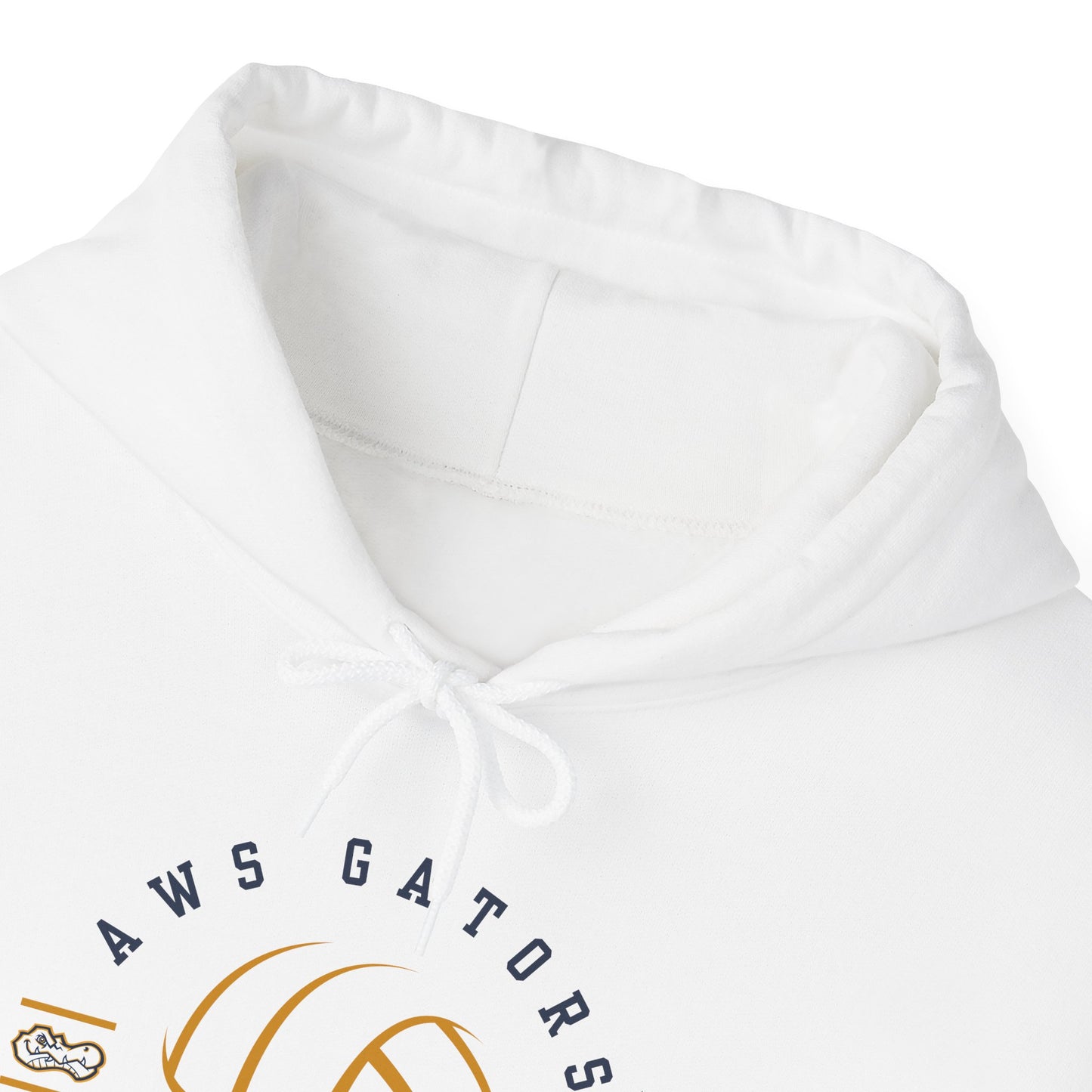 AWS Volleyball Legend | Soft Hoodie