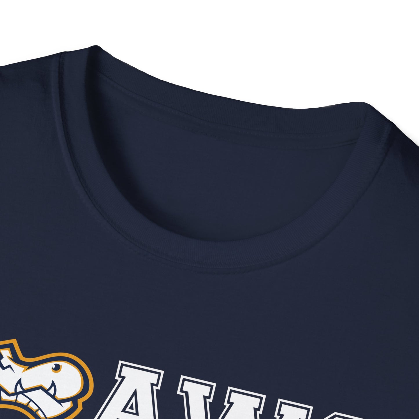 AWS Cross Country | Softstyle T-Shirt