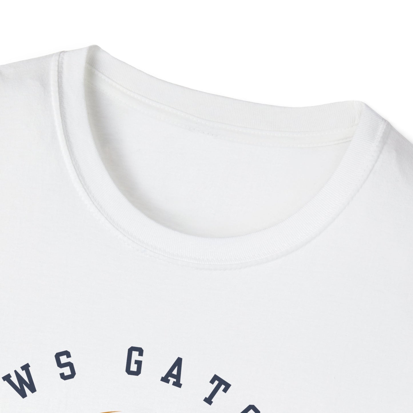 AWS Volleyball Legend | Softstyle T-Shirt