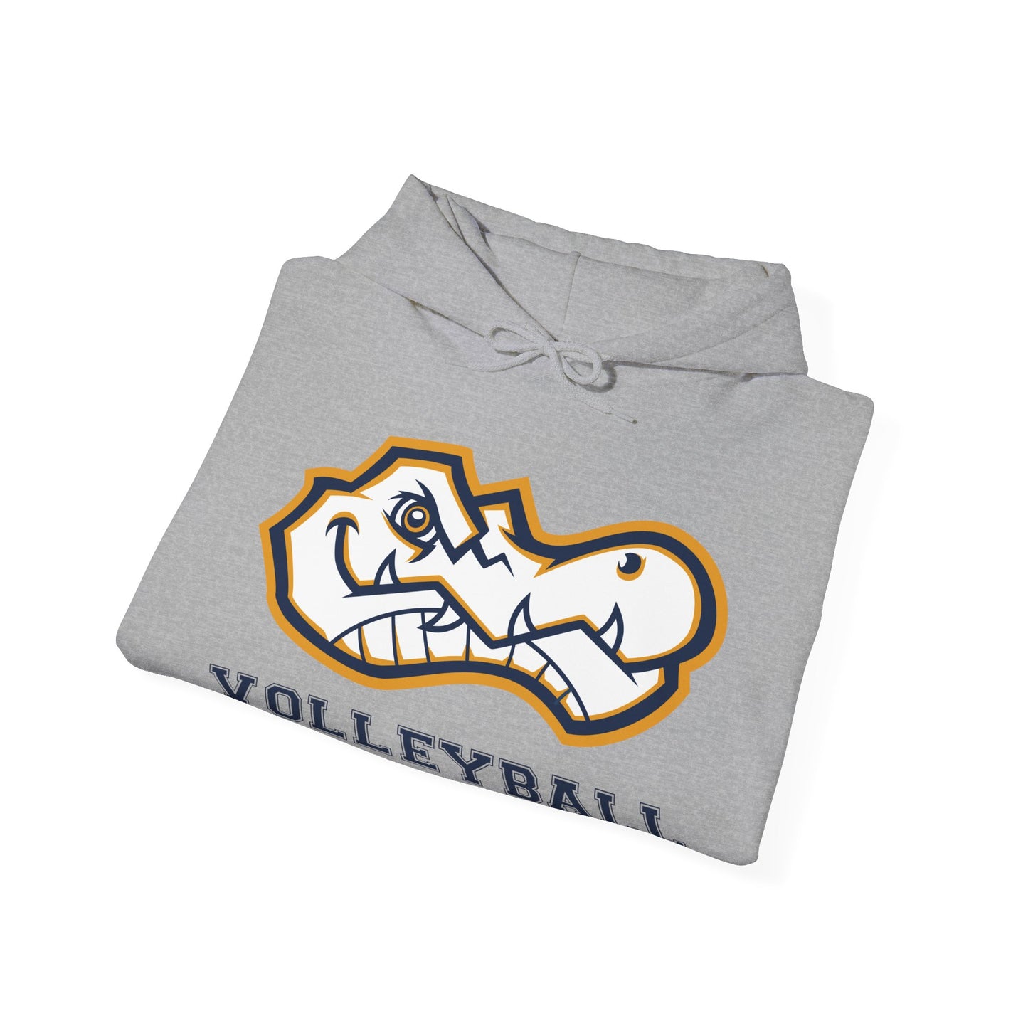 AWS Volleyball | Soft Hoodie