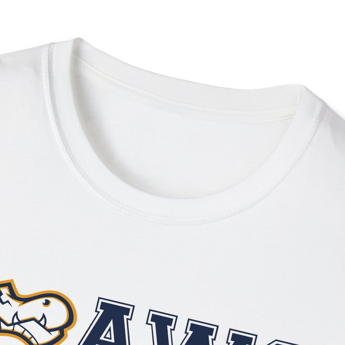 AWS Cross Country | Softstyle T-Shirt