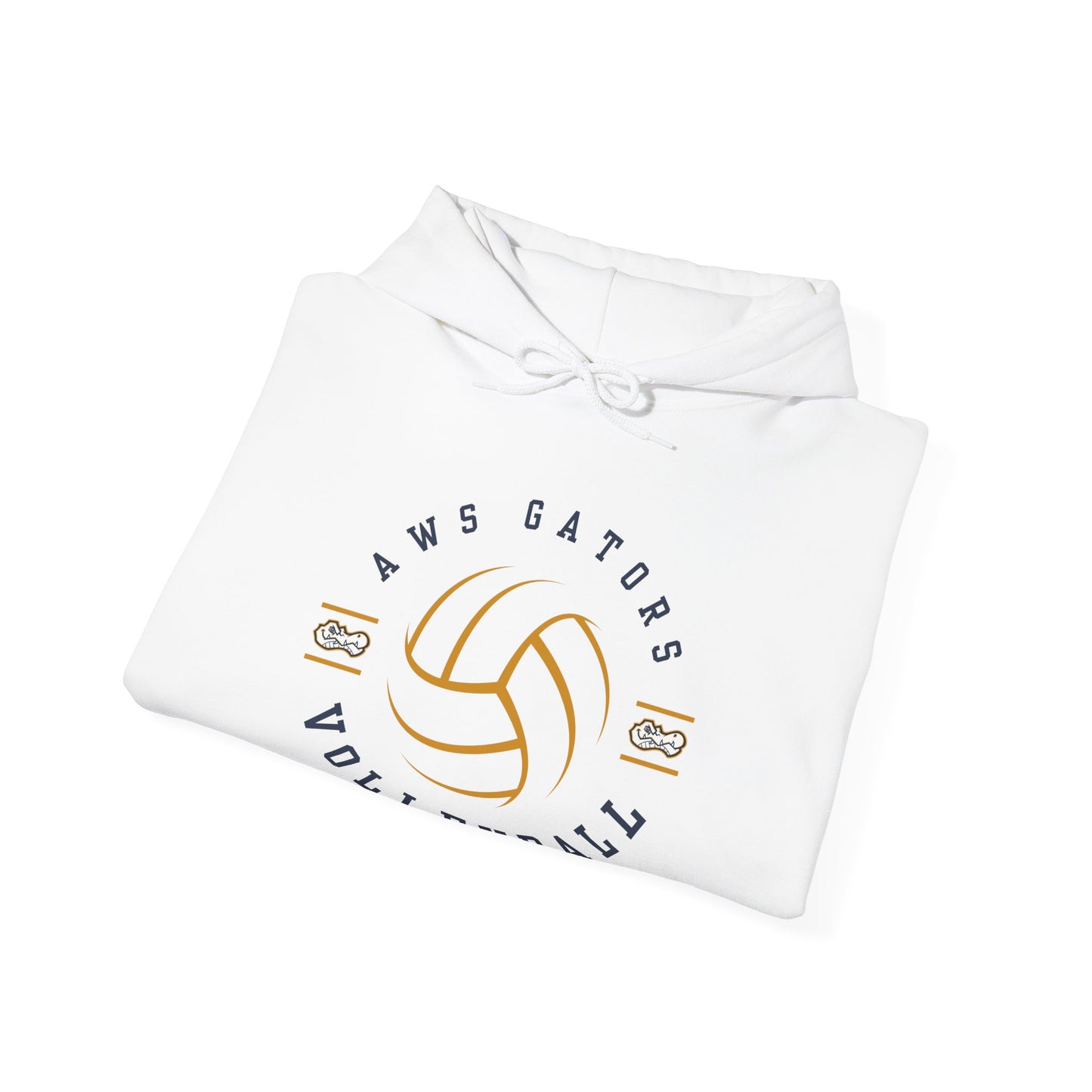 AWS Volleyball Legend | Soft Hoodie