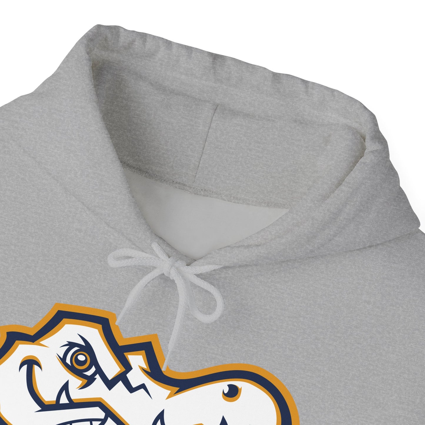 AWS Tennis | Soft Hoodie