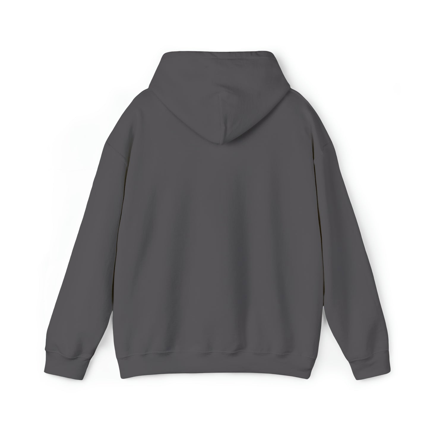This Is My Campfire Hoodie | Premium Soft Pullover Hoodie