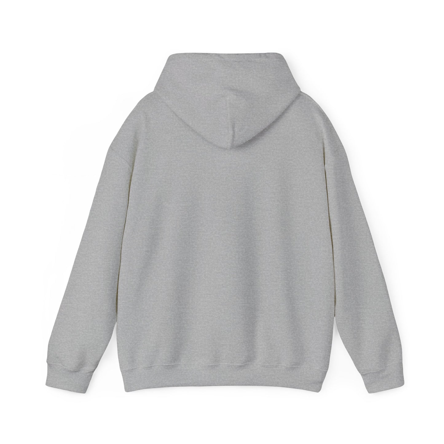 AWS Volleyball | Soft Hoodie