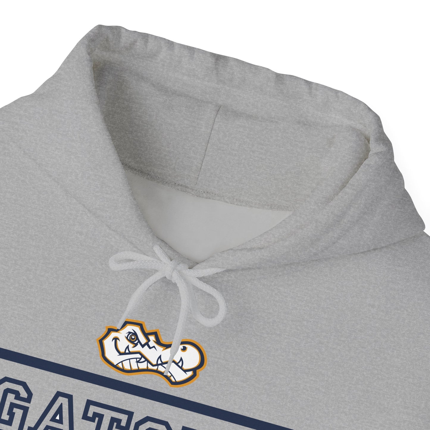 Gators Basketball | Soft Hoodie