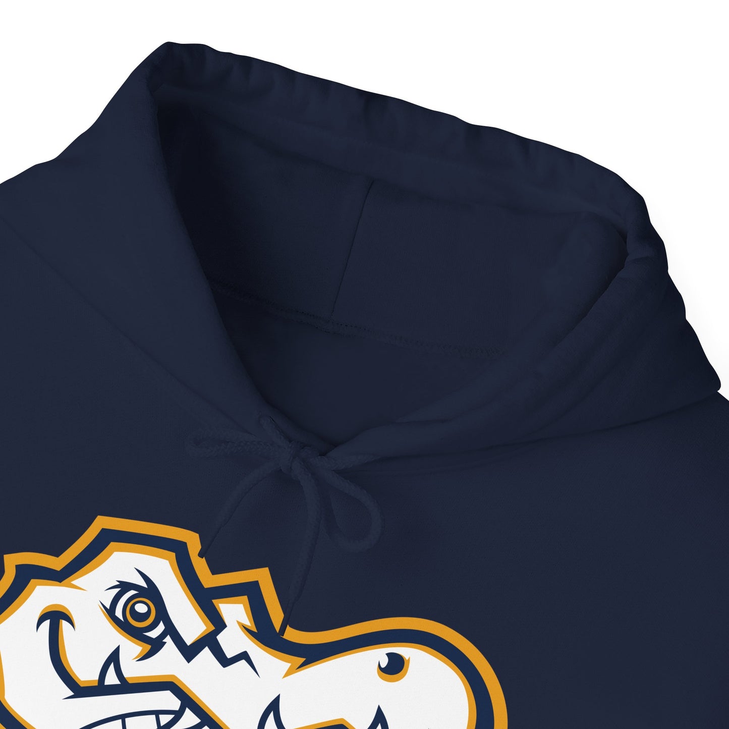 AWS Volleyball | Soft Hoodie