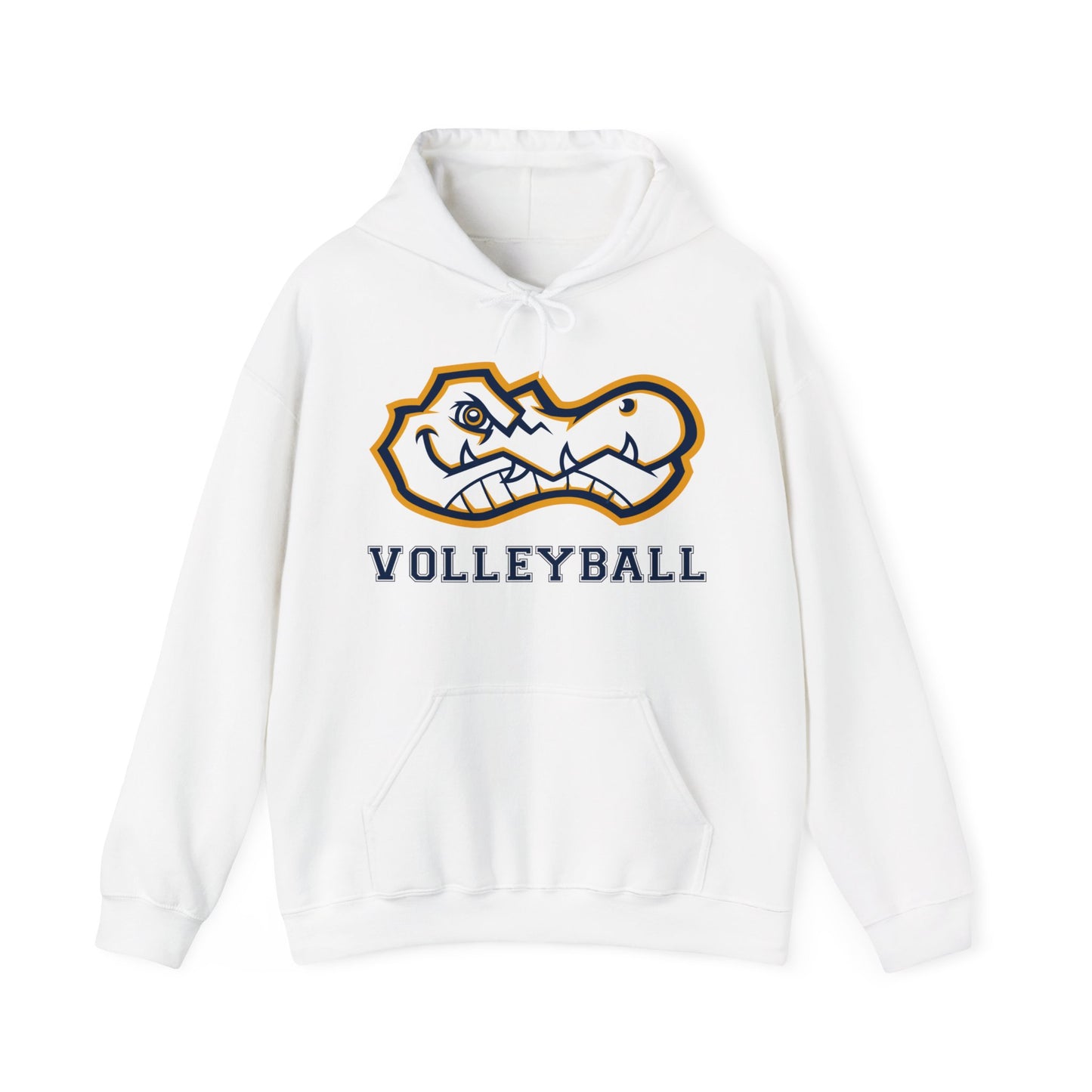 AWS Volleyball | Soft Hoodie