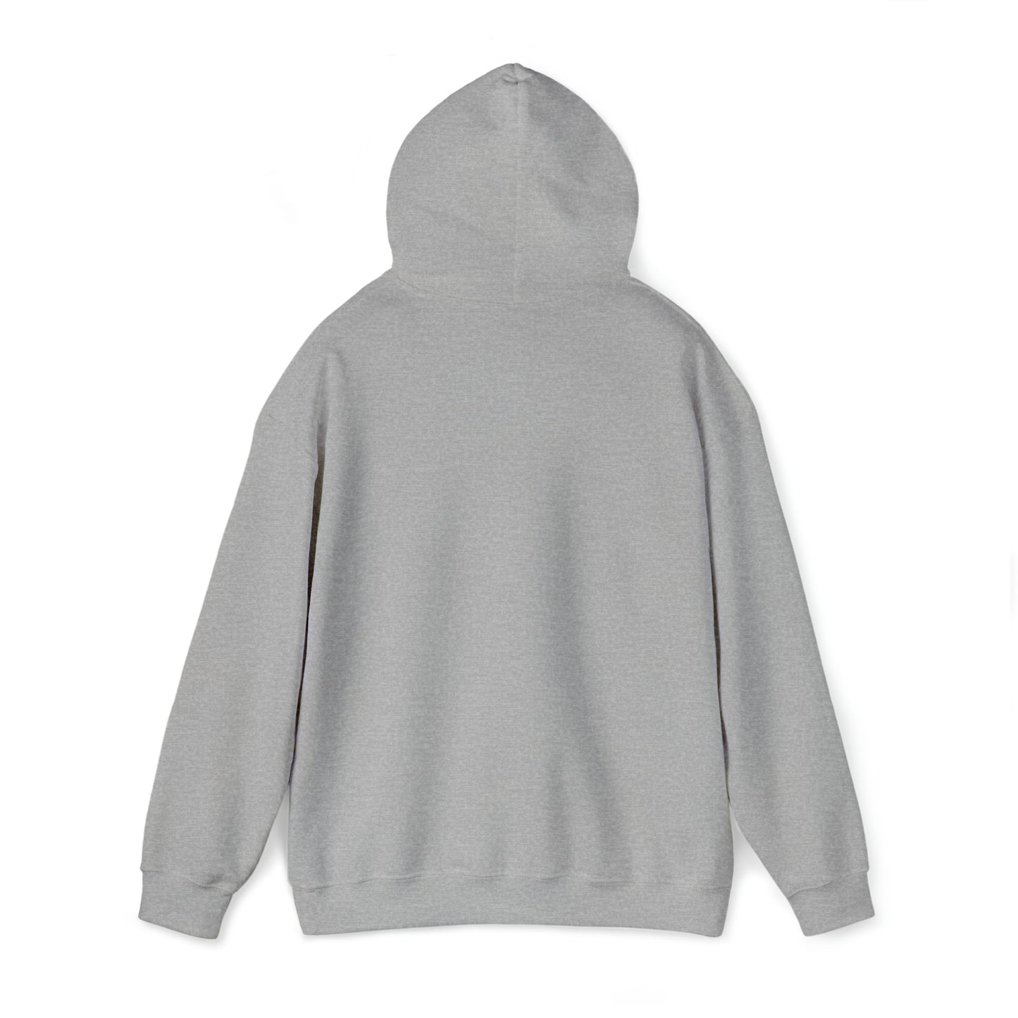 Arts at AWS | Soft Hoodie