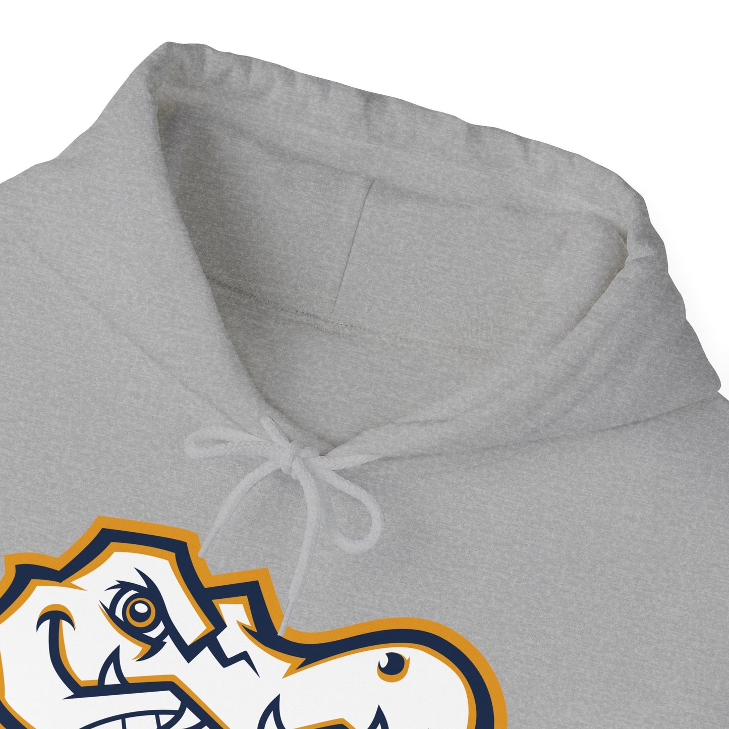 AWS Volleyball | Soft Hoodie