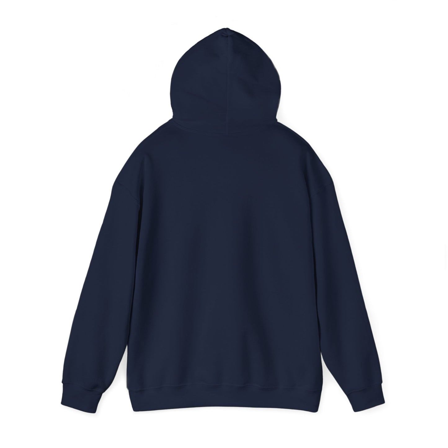 AWS Volleyball | Soft Hoodie