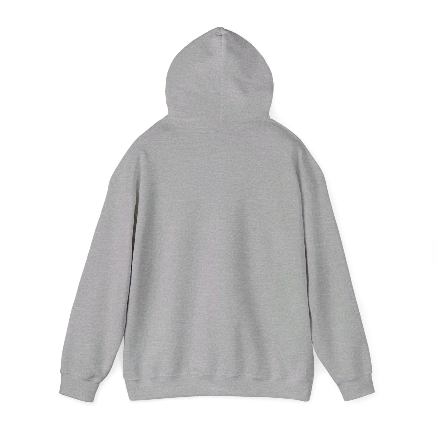 AWS Theatre | Soft Hoodie