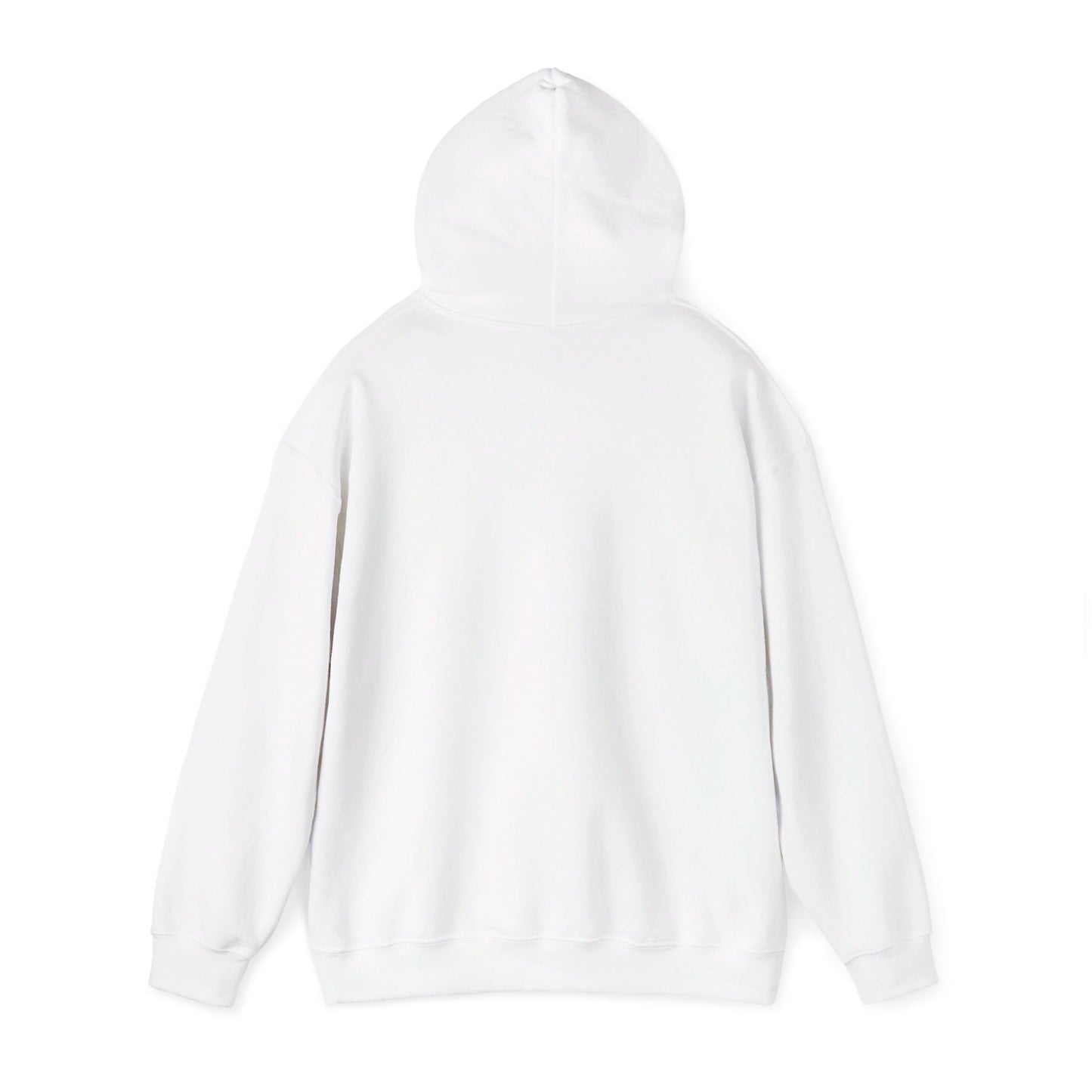 AWS Theatre | Soft Hoodie