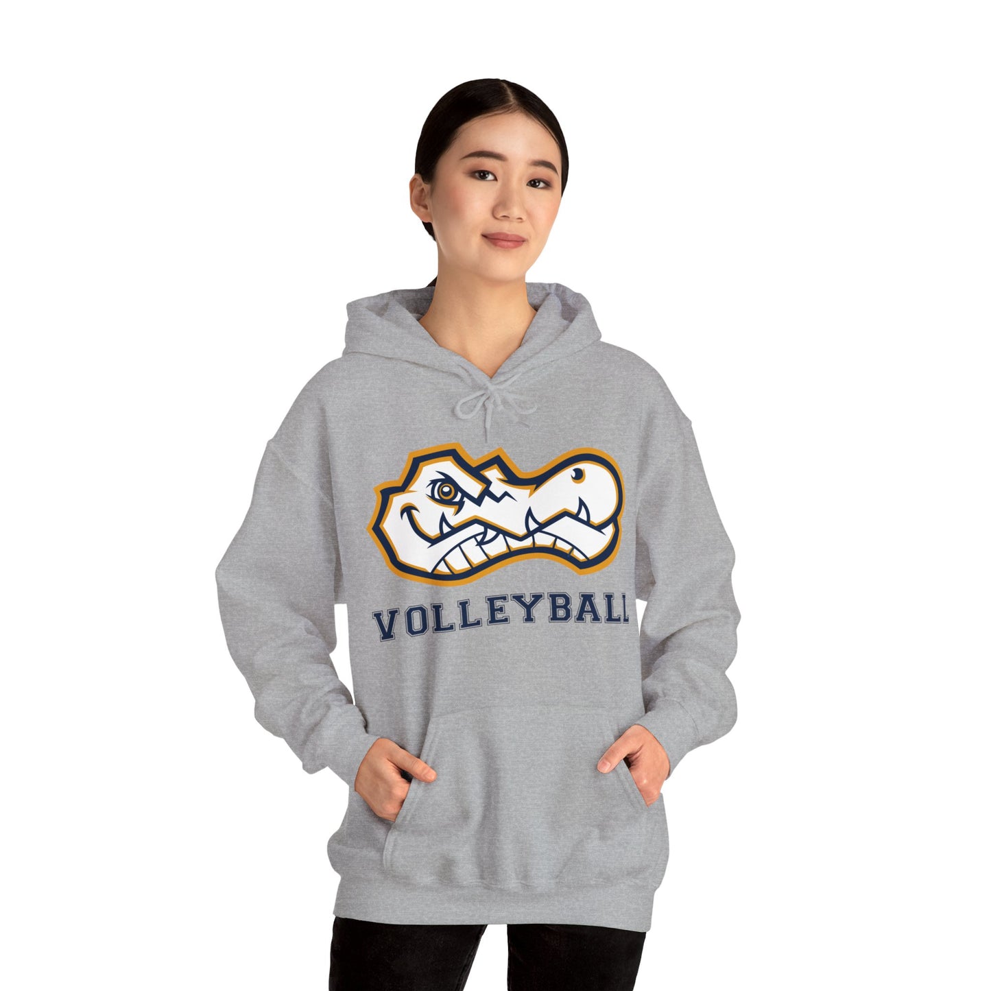 AWS Volleyball | Soft Hoodie