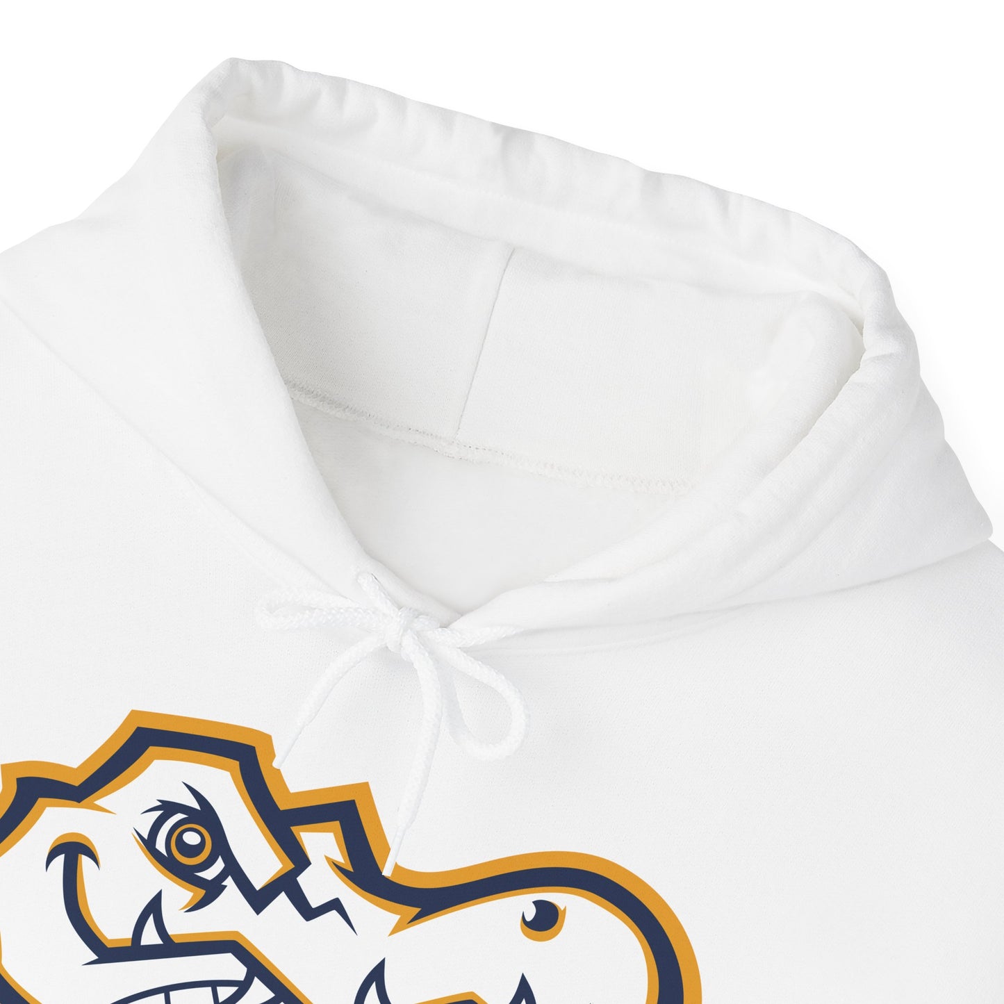 AWS Basketball | Soft Hoodie