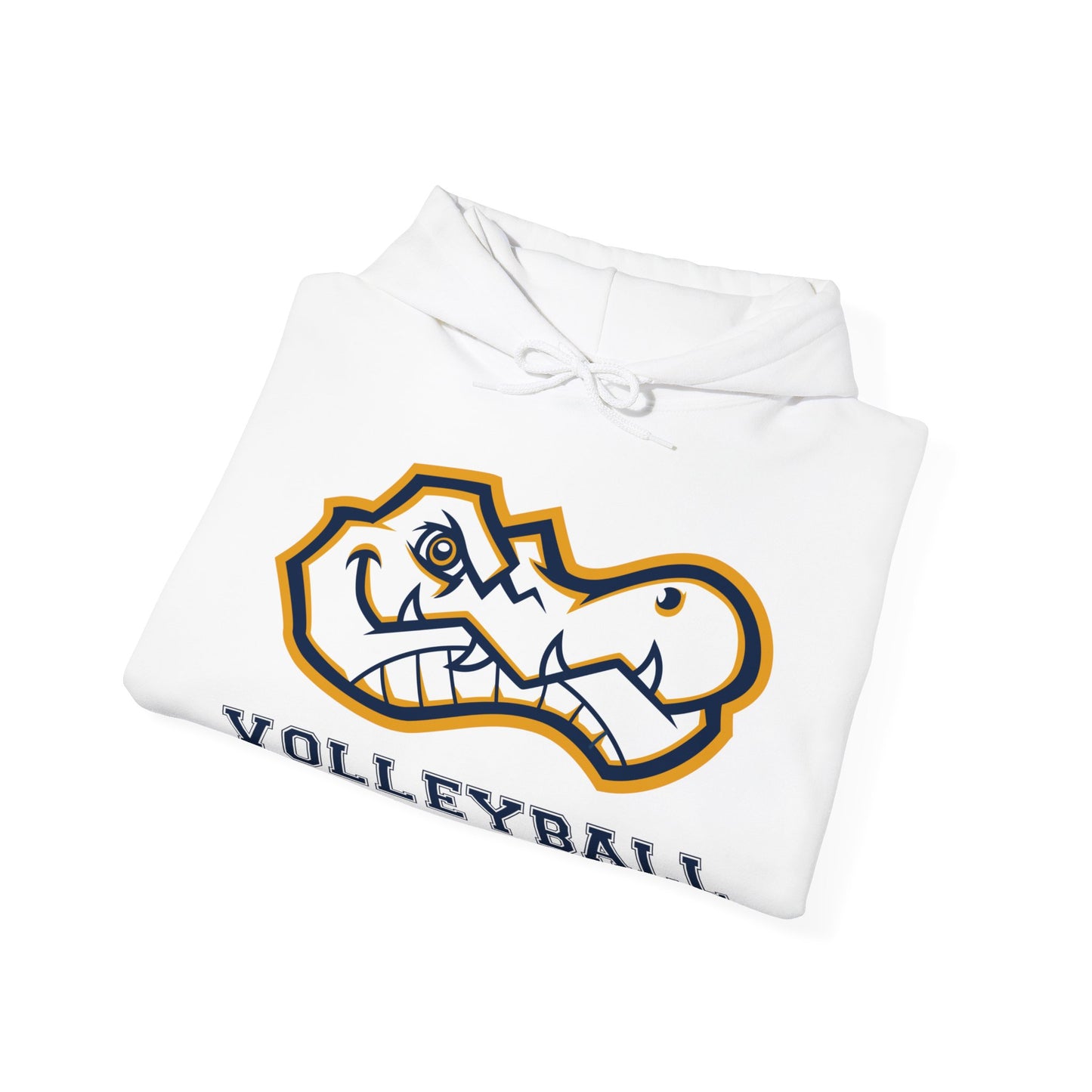 AWS Volleyball | Soft Hoodie