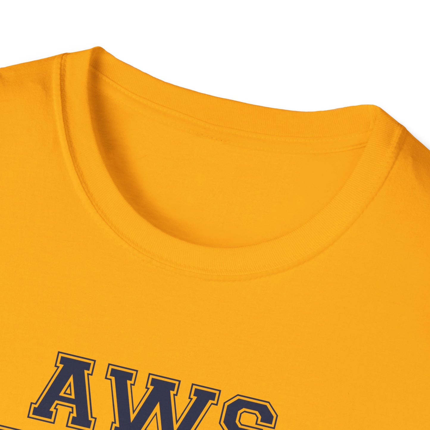 AWS Varsity Arts | Softstyle T-Shirt