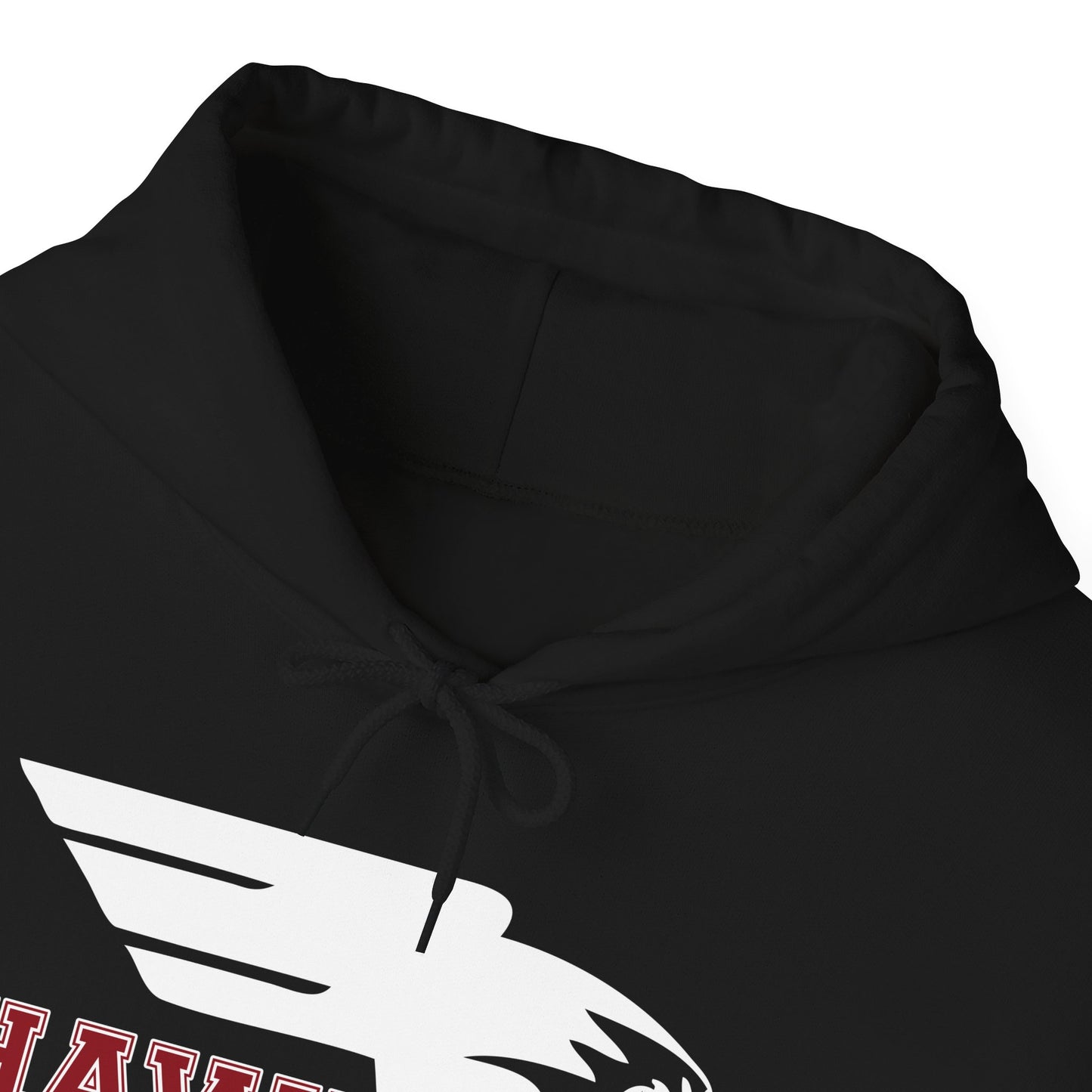 CCA Hawks | Soft Hoodie