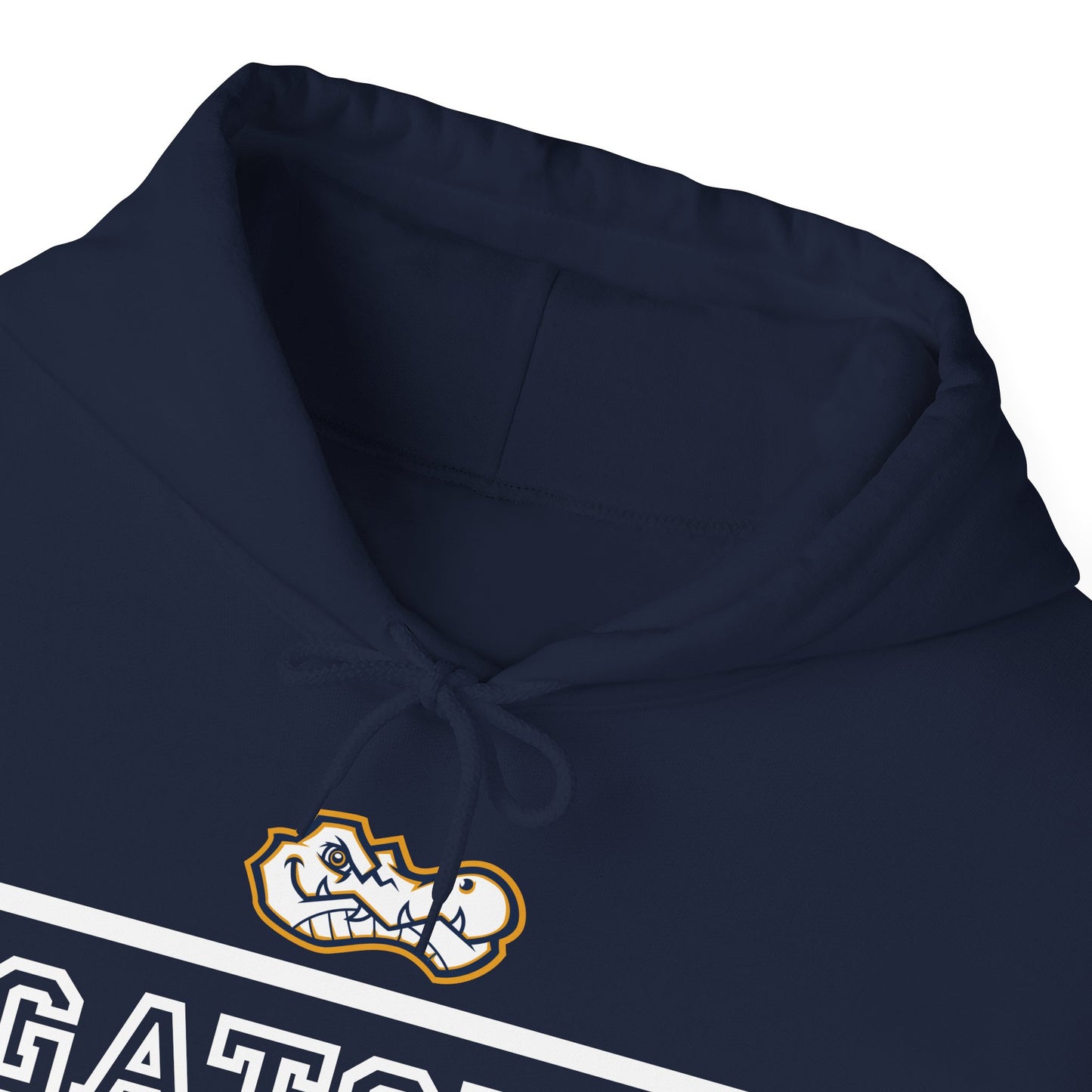 Gators Swimming | Soft Hoodie