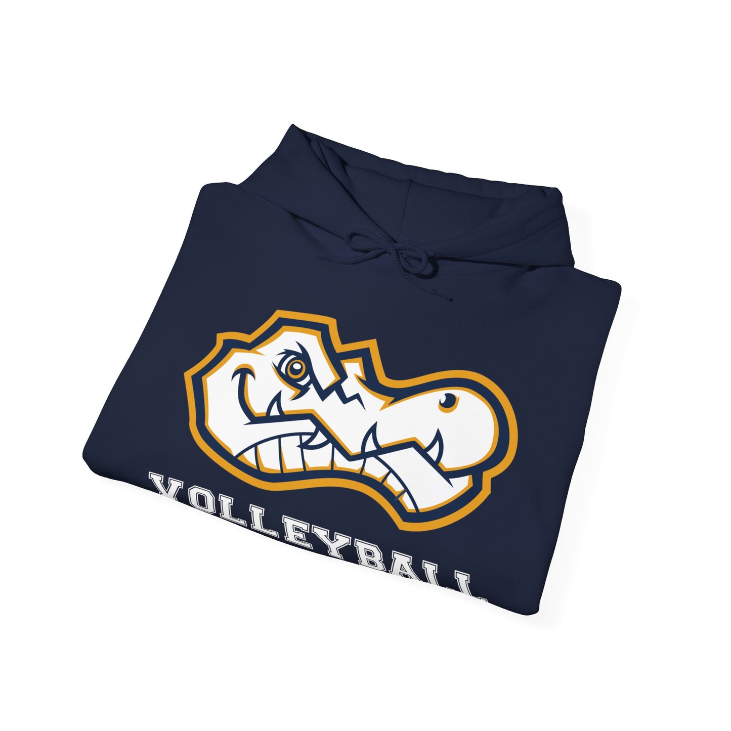 AWS Volleyball | Soft Hoodie