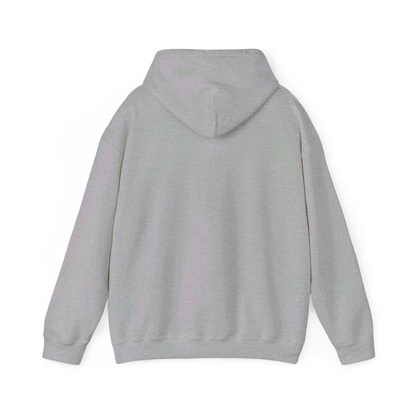 AWS Theatre | Soft Hoodie