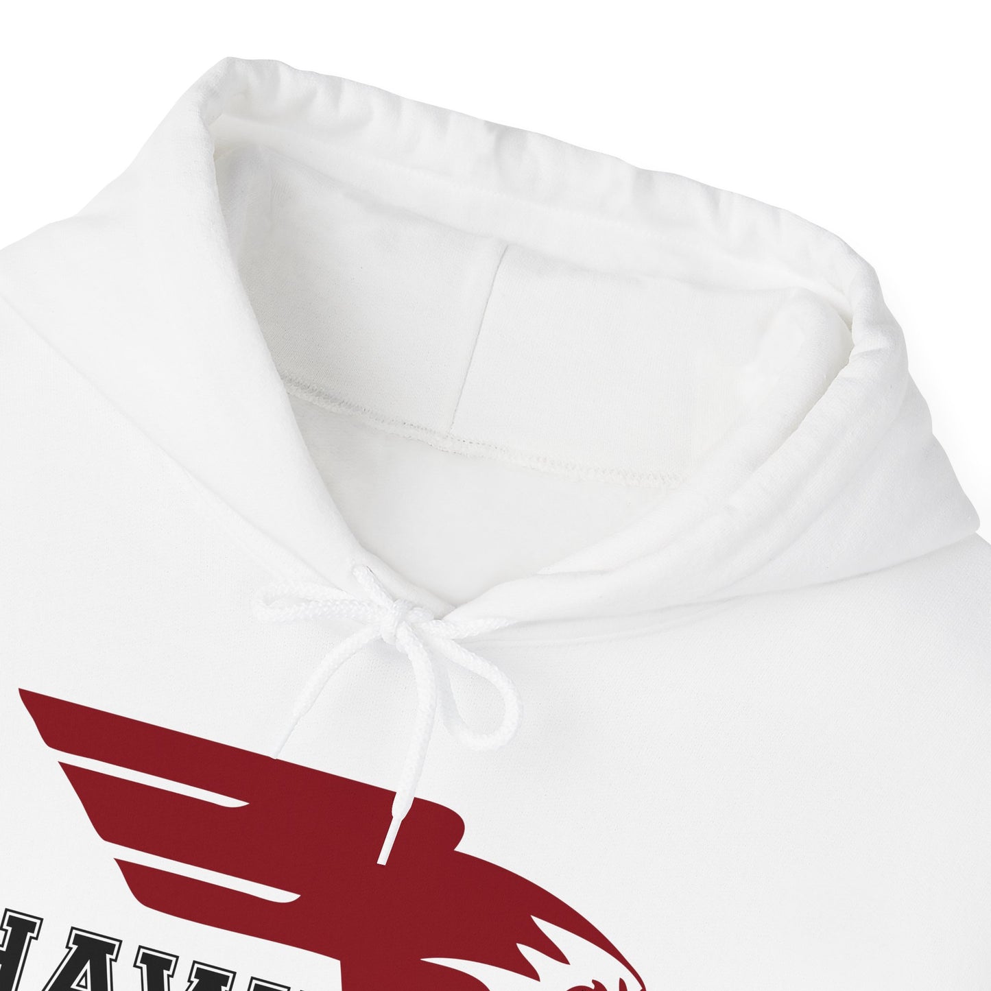 CCA Hawks | Soft Hoodie