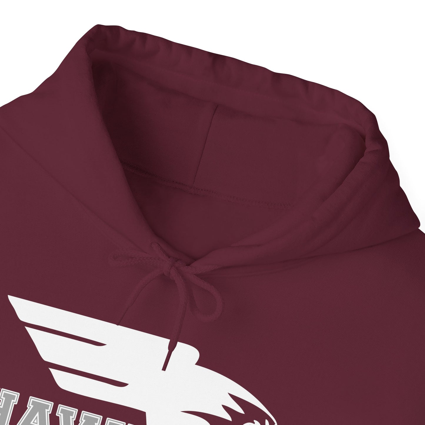 CCA Hawks | Soft Hoodie