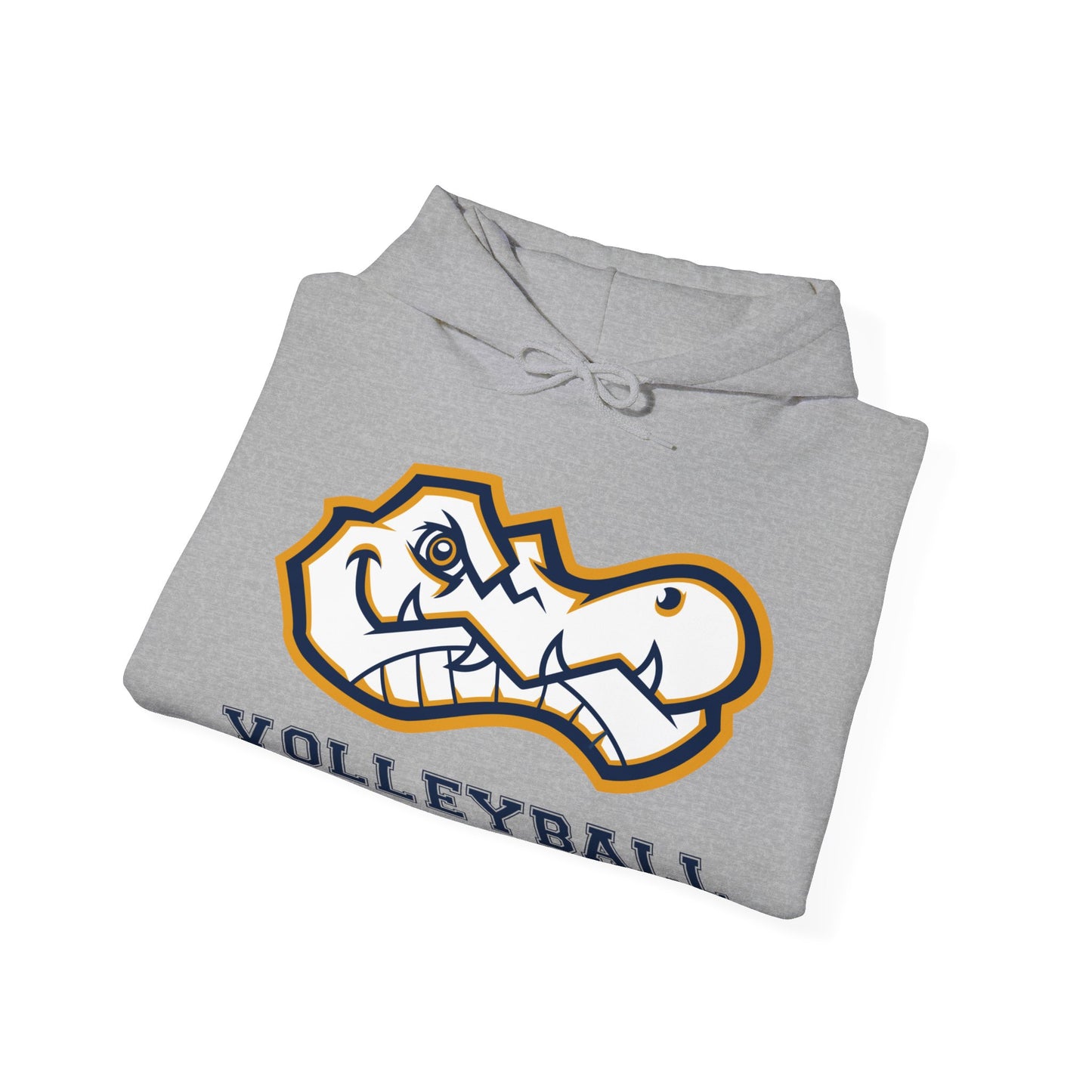 AWS Volleyball | Soft Hoodie