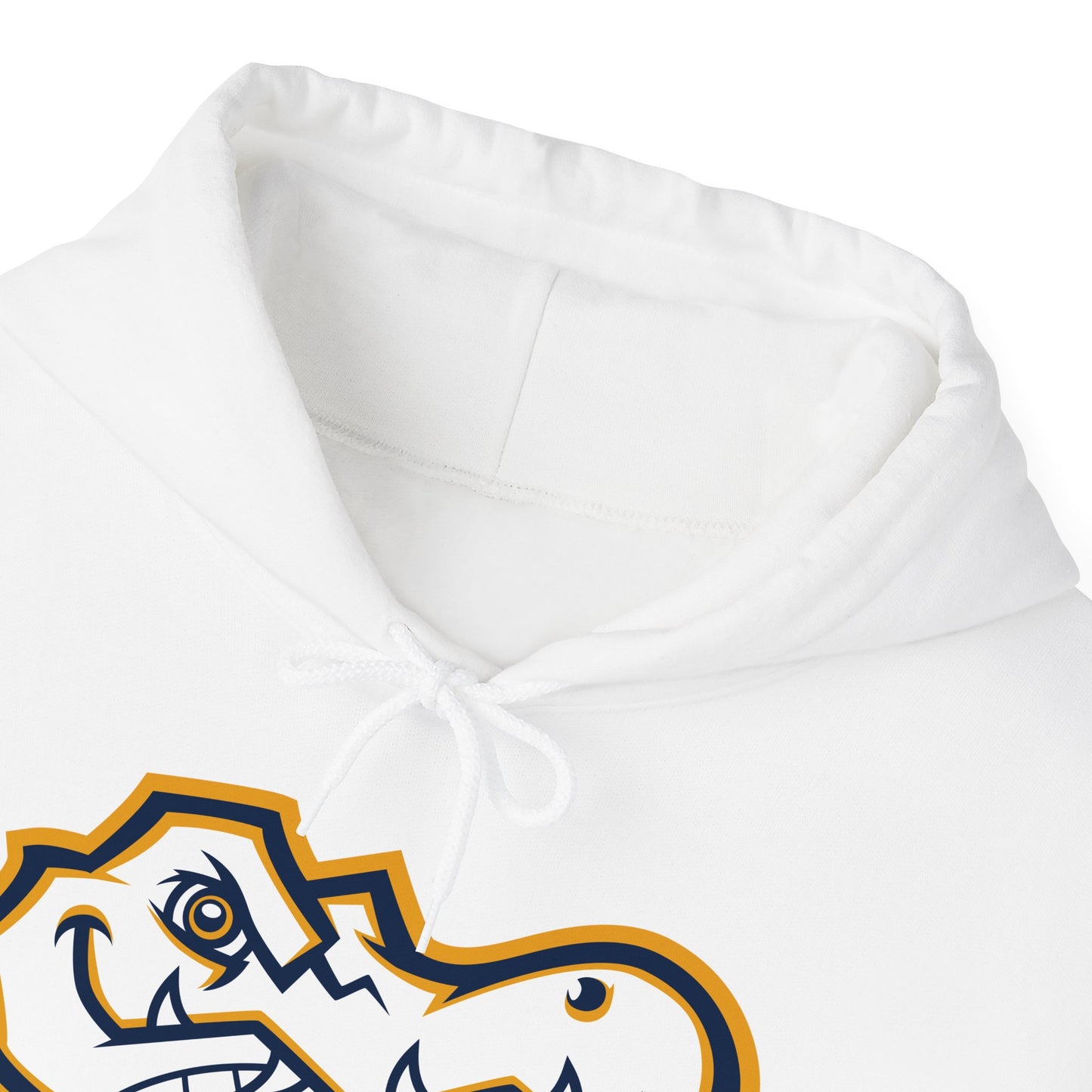 AWS Volleyball | Soft Hoodie