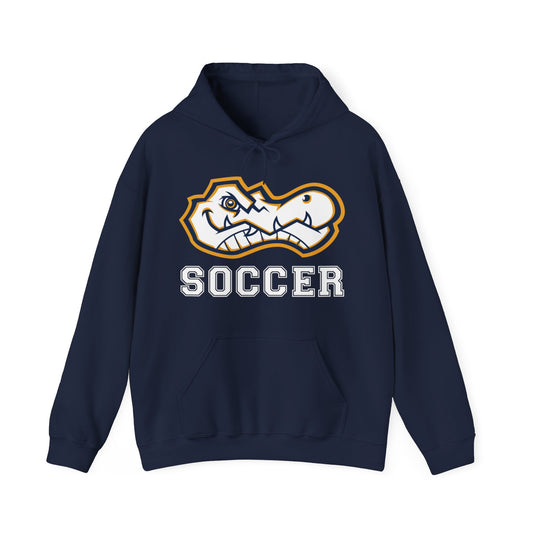 AWS Soccer | Soft Hoodie