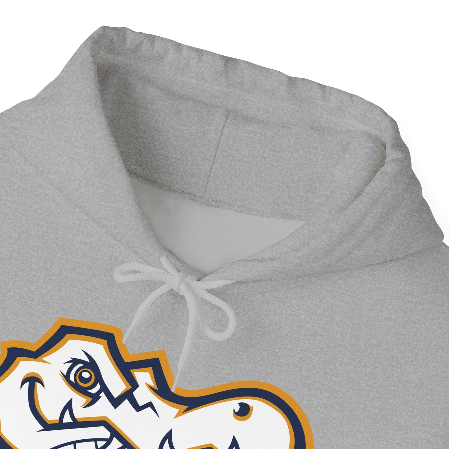 AWS Swimming | Soft Hoodie