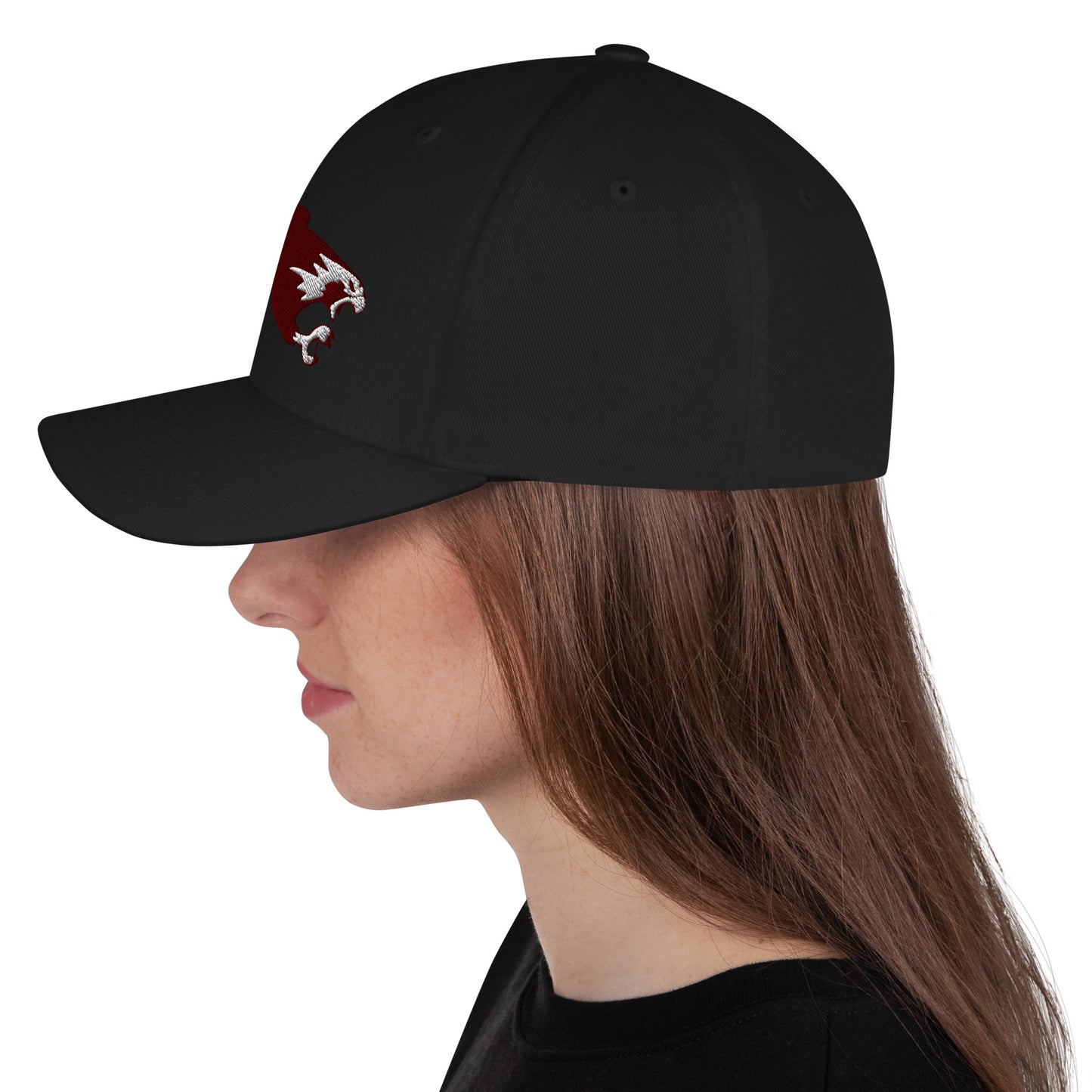 CCA Hawks | Flex-Fit Closed Back Hat